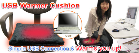 usb_warmer_cushion.jpg